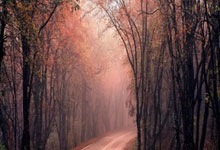 股票配资案件:买股票可以网上开户么-金银缘何“大爆发”？一文读懂：来看看“雪崩”的全球债市吧！